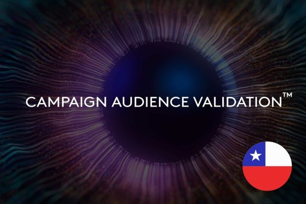 Campaign Audience Validation