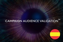 Campaign Audience Validation